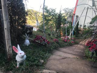 Mon phuree Glamping - 8