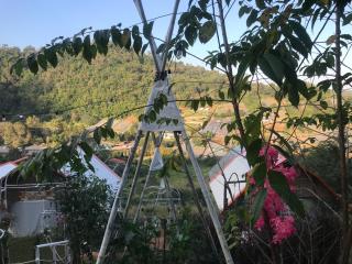 Mon phuree Glamping - 7