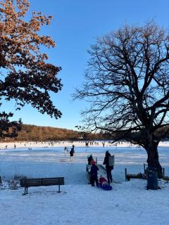 Snug Stays 1 I 3-Zimmer Design Apartment am See mit Garten I Home Office I Highspeed Wifi - 9