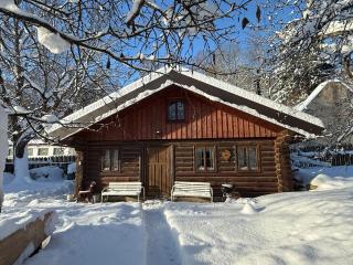 SRUB pod třešněmi - Cherry Trees Cabin - 0