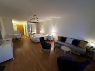 Studio Maison Merino Sankt Moritz - 8