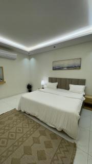 شقة سويس بدخول ذاتي - 6