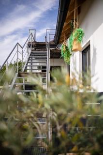 Strommer wine das Gästehaus - 9