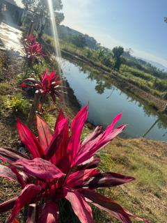 บ้านไร่สกายดาวเขาใหญ่ - 3