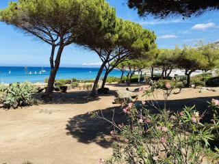 Appartement T2 P23 LUMIO - Lumio - 5