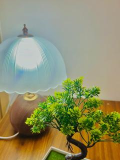 V Rich วีริชเพลส ร้อยเอ็ด - 3