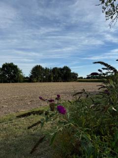 2 Zi Ferienwohnung mit Garten und Terrasse - 6