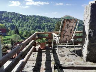 Studio za dvoje u Planinskoj kući Savić - 2