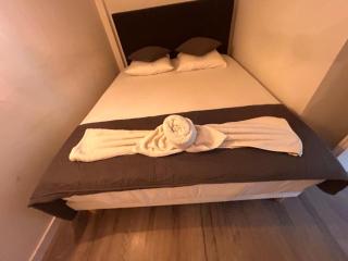 Au cœur des vignes Moulin à Vent - 5