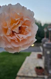 Filia Stone Villa - 5