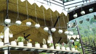 The Naturewalk Riverside Chaffi Bhimtal - 1