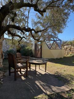 Suite con Burbuja - 8