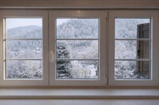 The Forest Chalet - Private forest and absolute calm - Plainfaing - 7