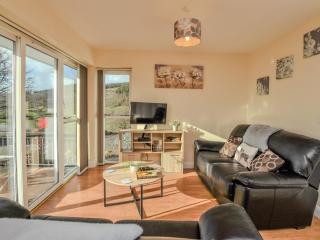 2 Bed in Llandderfel 86964 - 9