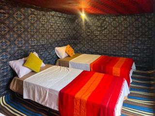 Sindibad Desert Camp - 1