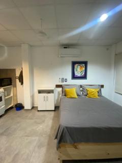 Monoambiente Smart en Corrientes - 3