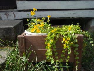 Cozy apartment in Taka-Töölö - 3