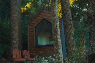 Tiny Clariana by Tiny Away - 0