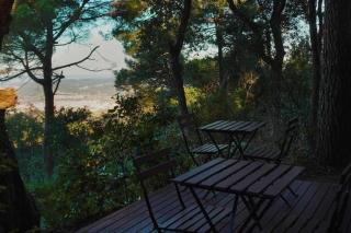 Tiny Clariana by Tiny Away - 5