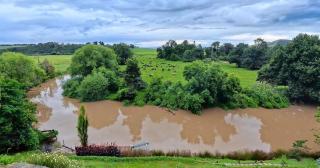 Tegwaan's Nest B&B - 1