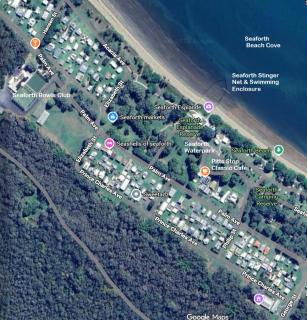 Seashells of Seaforth - 8