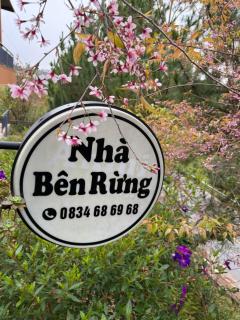 Nhà bên rừng - 9
