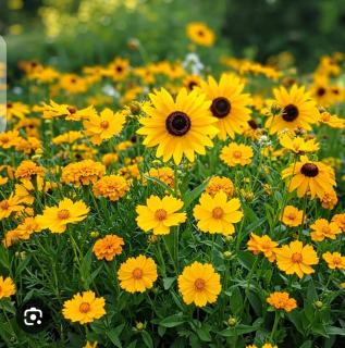 Budget private Room, Wifi - 9