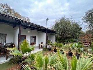 Kameeldoring Guesthouse - 6