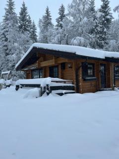 Private Swedish Forest Cabin - 6