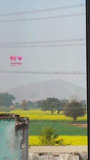 Krishna home stay - 3