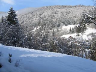 Appartement Borne - Saint-Jean-d'Aulps - 6