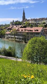 Appartement - Wallenried - 7