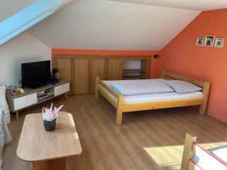 Pokoj U lesa Zaolší - 6