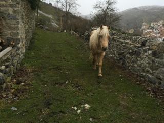 Riojania Traditio Mountain - 1