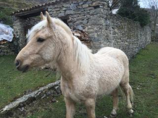 Riojania Traditio Mountain - 5