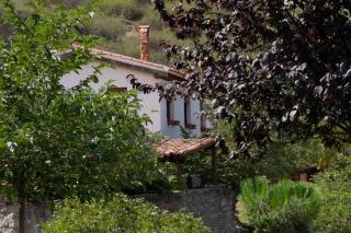 Riojania Traditio Mountain - 7