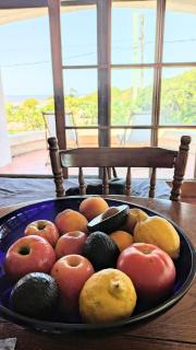 La Casita del Fondo - 1