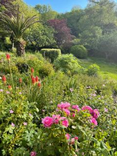 Beautiful Perranporth country house near the beach - 6