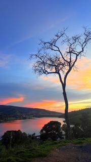 Pousada Ipê do Lago - 7