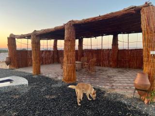 Desert Meditation Camp - 4