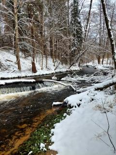 Apartament Graal Roztocza - 8