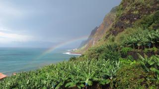 Slice Of Heaven- Dream Holiday Home - 5