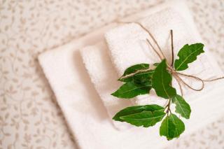 Sentiero Del Ciolo - 8