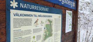 Boende i Målaskog, near the lake, boat, big garden - 8