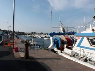 Gite st Vaast Maison-Les Mouettes - 2