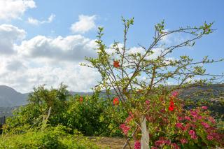 Sochoro Sun Mountain Hospitality - 1