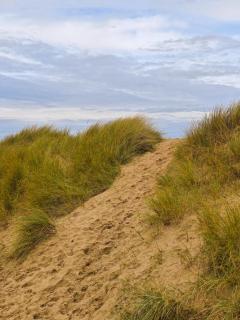 L'Ecume des jours - 8