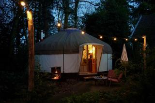 Unieke Yurt in het bos met jacuzzi en sauna - 4