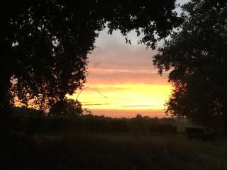 Le Loft - Château Le Noble - 4