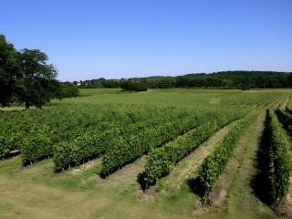 Le Loft - Château Le Noble - 2